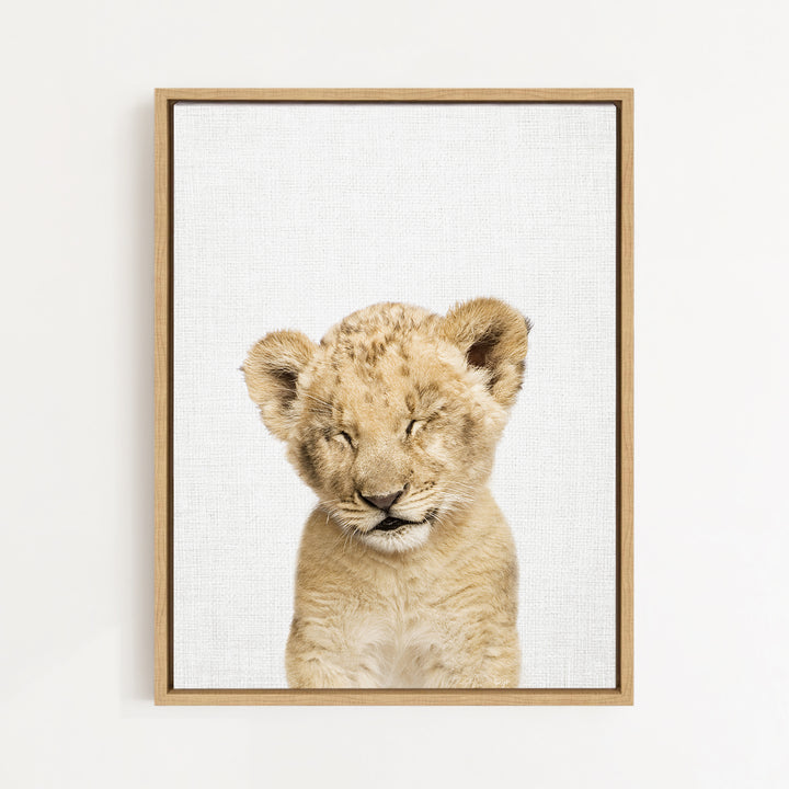 A young lion cub with its eyes closed, looking directly at the camera.