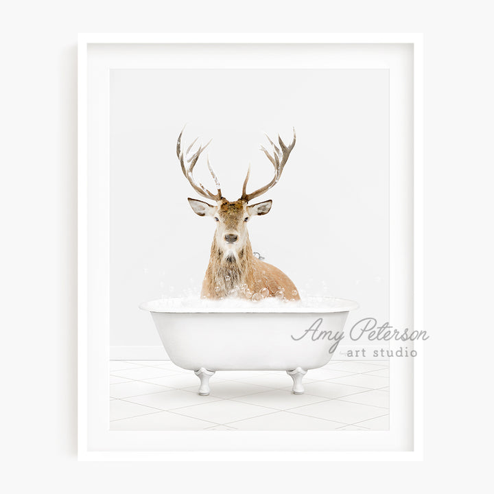 a picture of a deer in a bathtub