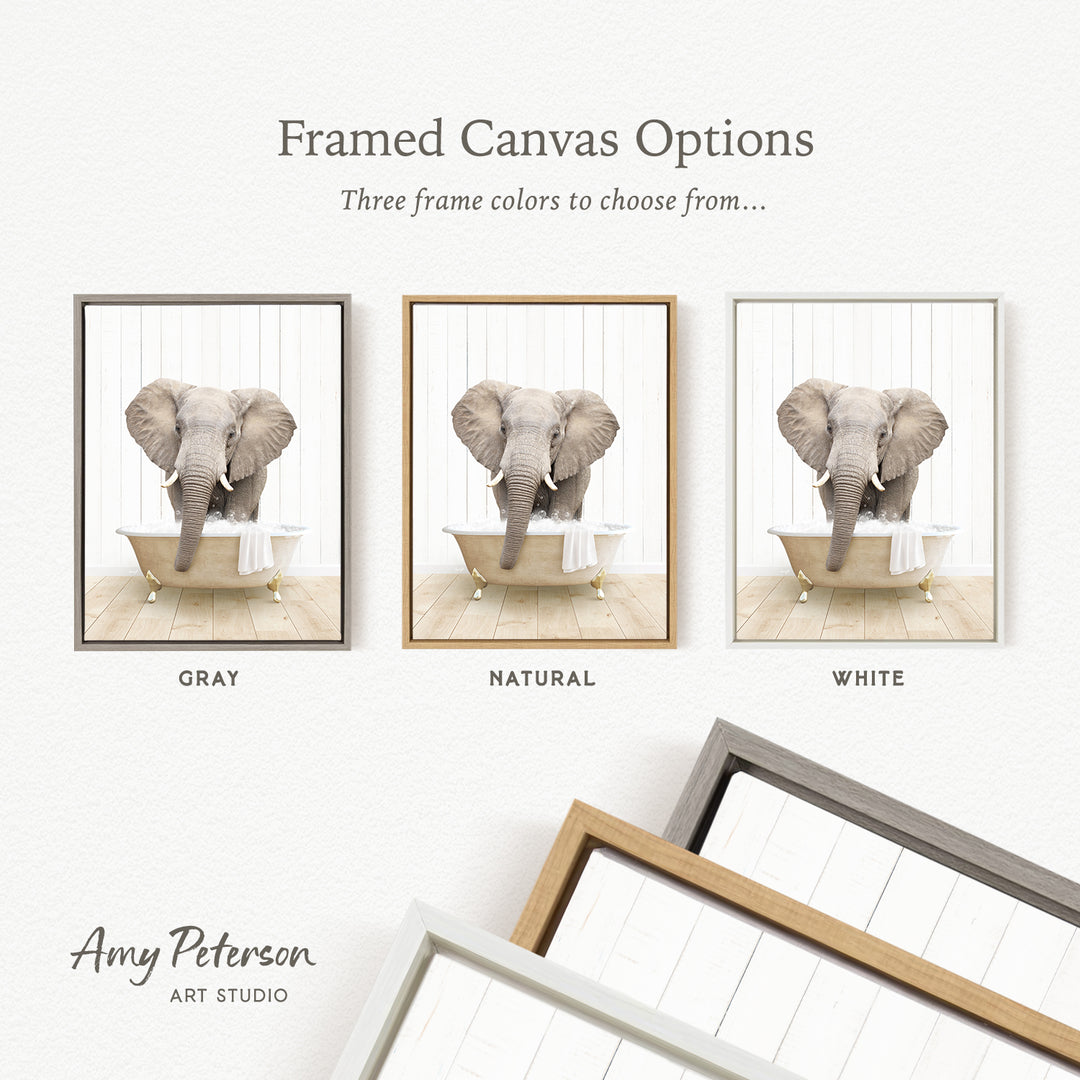 The image is a framed canvas option showcasing three different colored frames for a photograph of an elephant in a bathtub.