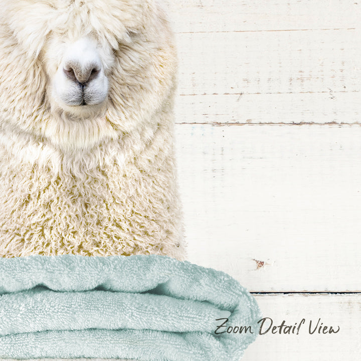 A close-up of a fluffy white alpaca peeking out from behind a light blue towel, set against a white wooden background.