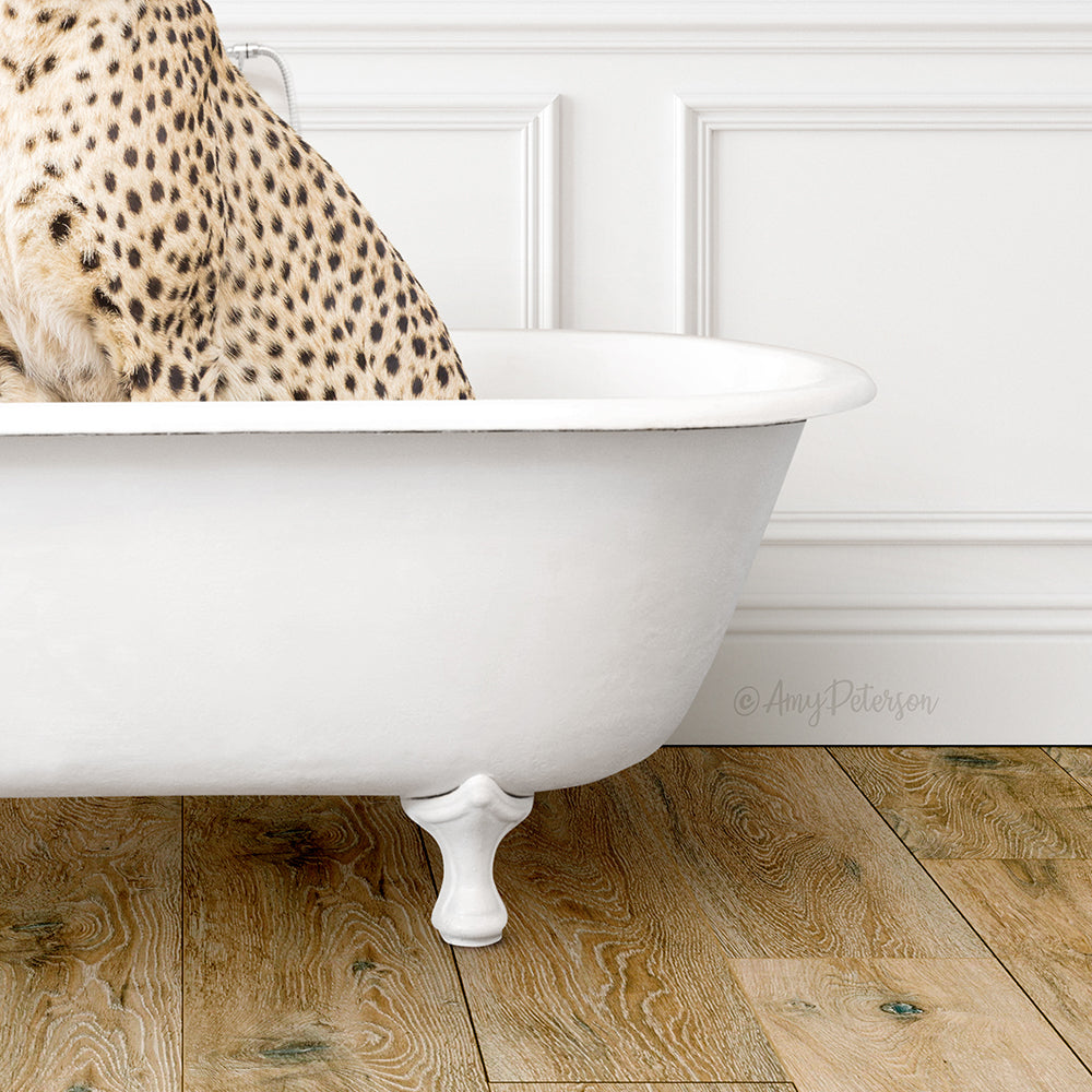 A cheetah resting in a white bathtub, with a wooden floor visible beneath it.