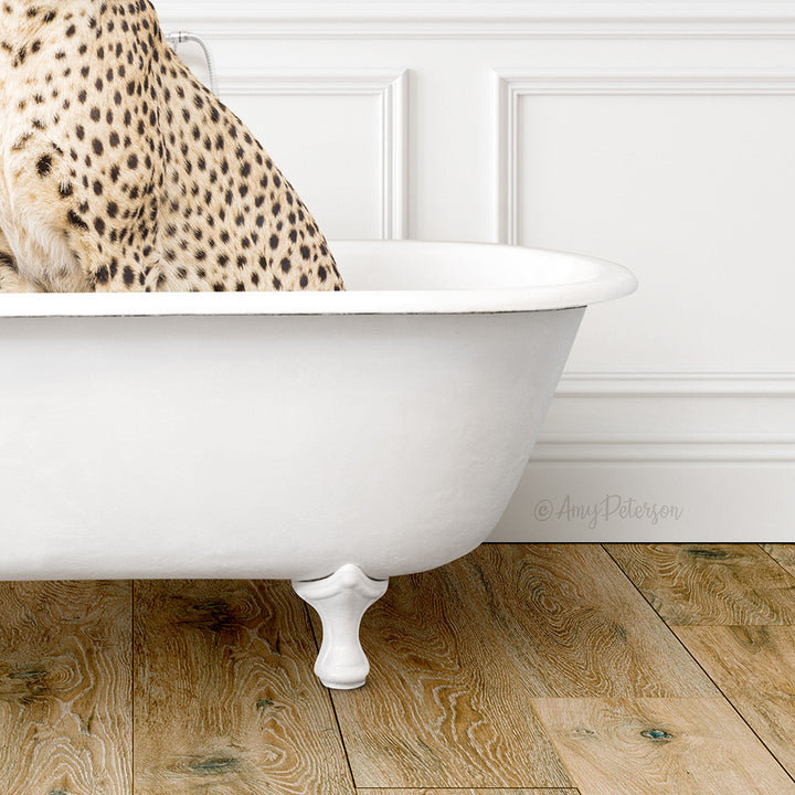 A cheetah resting in a white bathtub, with a wooden floor visible beneath it.