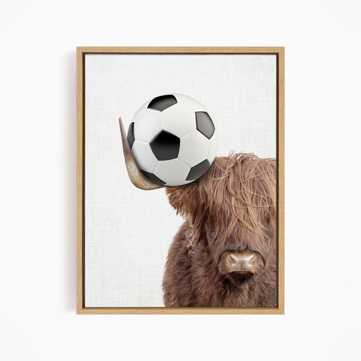 A brown cow with long hair is holding a soccer ball in its mouth.