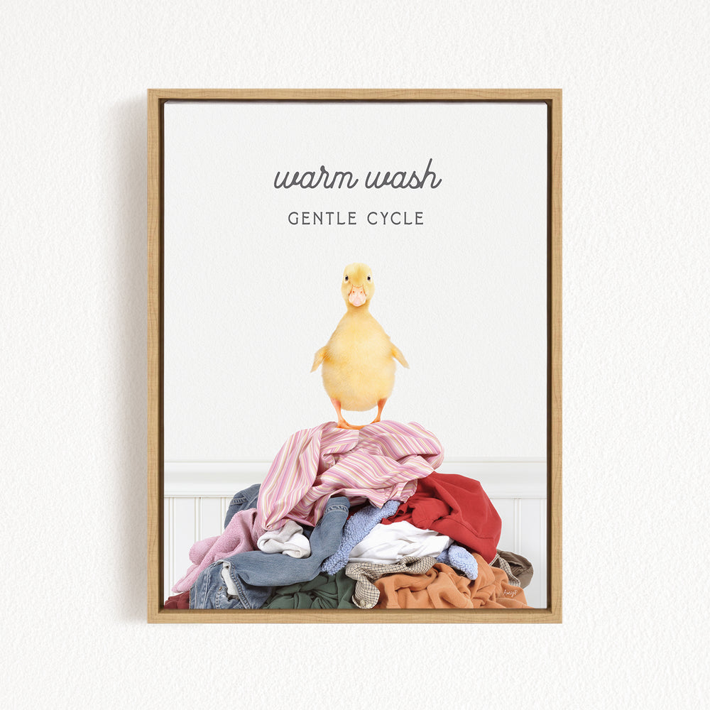 A framed image depicting a yellow duck standing on a pile of clothes, with the text "Warm wash Gentle Cycle" written above it.