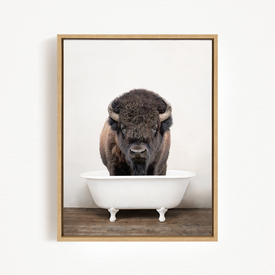 A buffalo with large horns is standing in a white bathtub, looking directly at the camera.