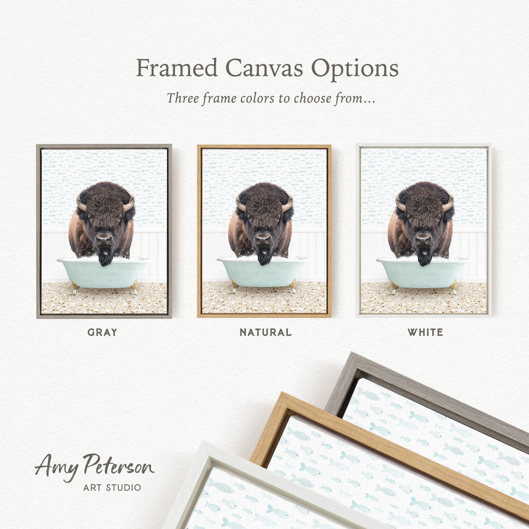 three framed canvas options, each featuring a different color: gray, natural, and white. The text above the images reads " Framed Canvas Options" and "Three frame colors to choose from...". The bottom of the image includes the text " Amy Peterson ART STUDIO".