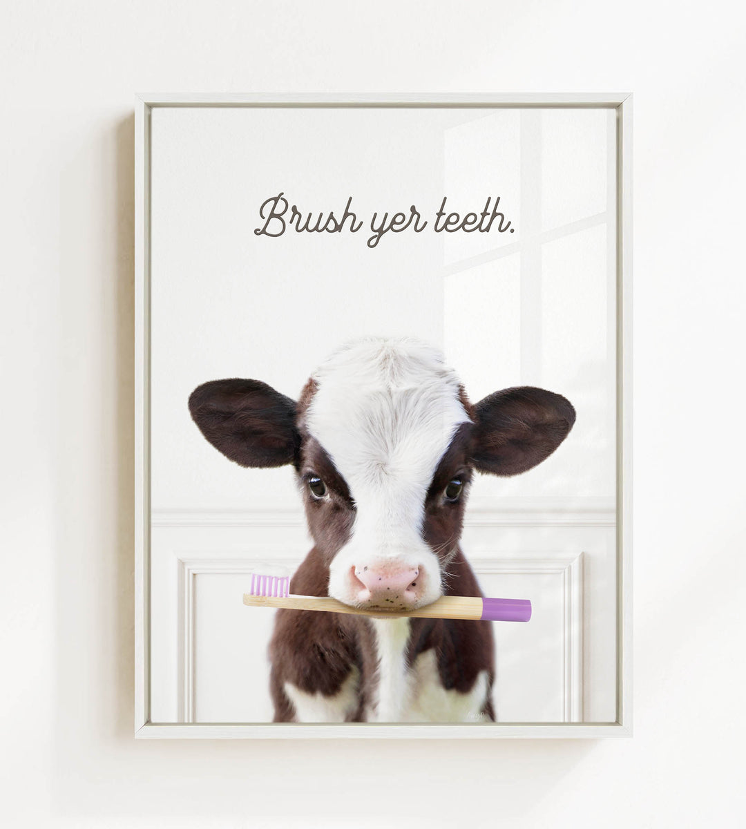 A cute brown and white calf holding a purple toothbrush in its mouth, with the text "Brush yer teeth."