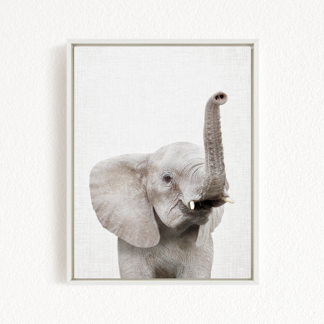 A gray elephant with its trunk raised, standing against a white background.
