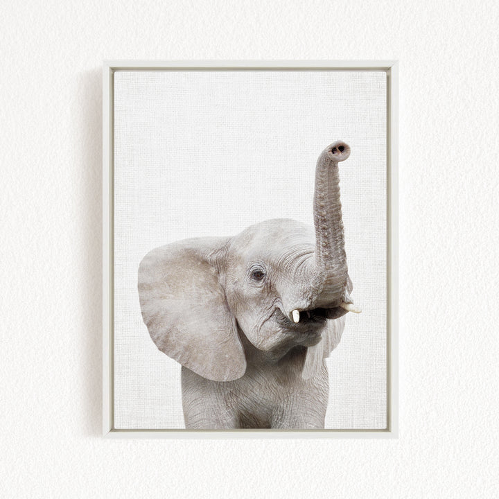 A gray elephant with its trunk raised, standing against a white background.