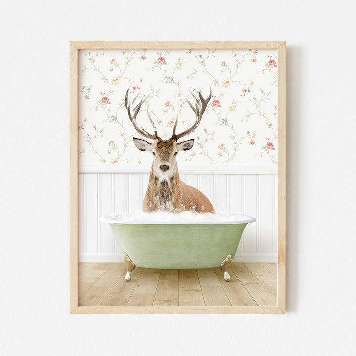 a picture of a deer sitting in a bathtub