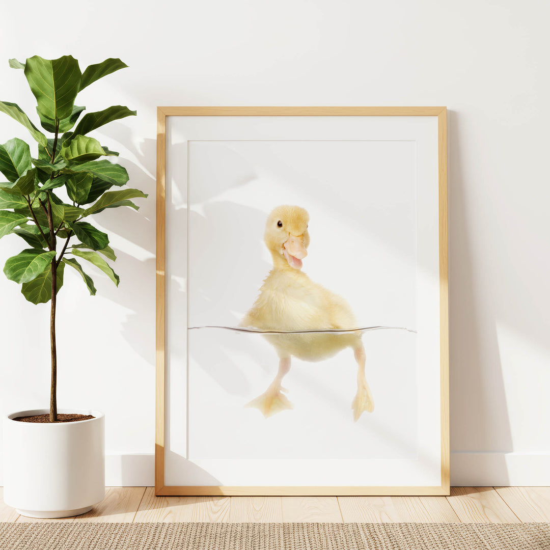 A framed print of a cute yellow duck swimming in water is displayed on a white wall, accompanied by a potted plant to the left.
