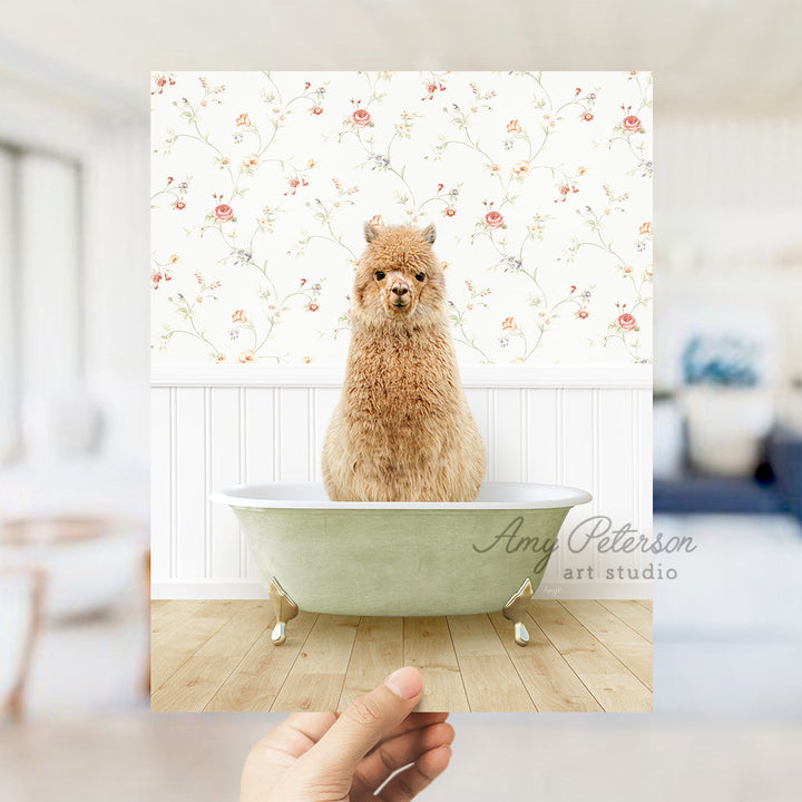 a hand holding a photo of a dog in a bathtub