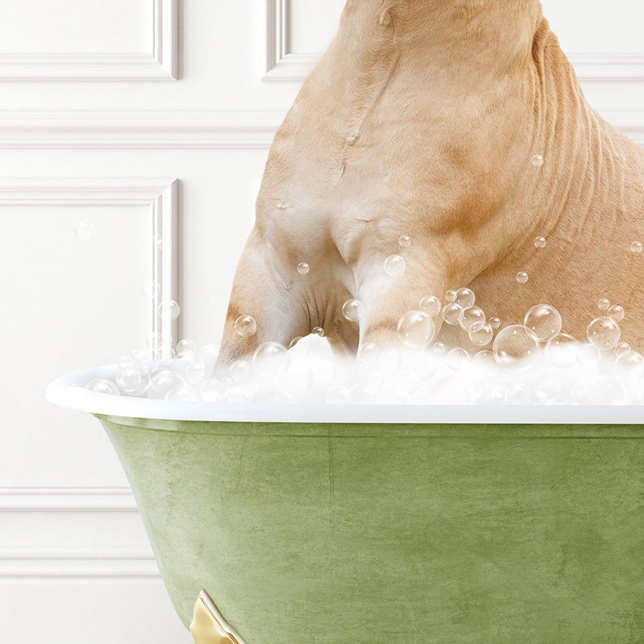 a dog sitting in a bathtub full of bubbles