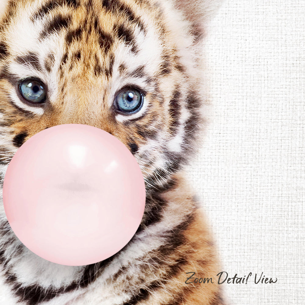 A close-up of a tiger cub blowing a bubble with a pink bubble gum bubble.