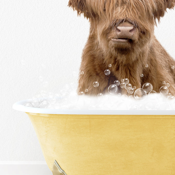 Highland Cow in Yellow Bathtub on Colored Tile