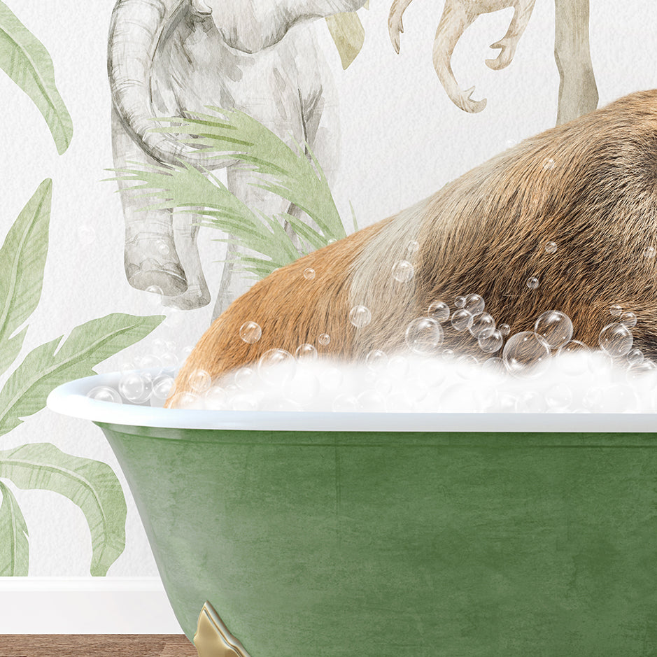 a brown bear in a green bath tub