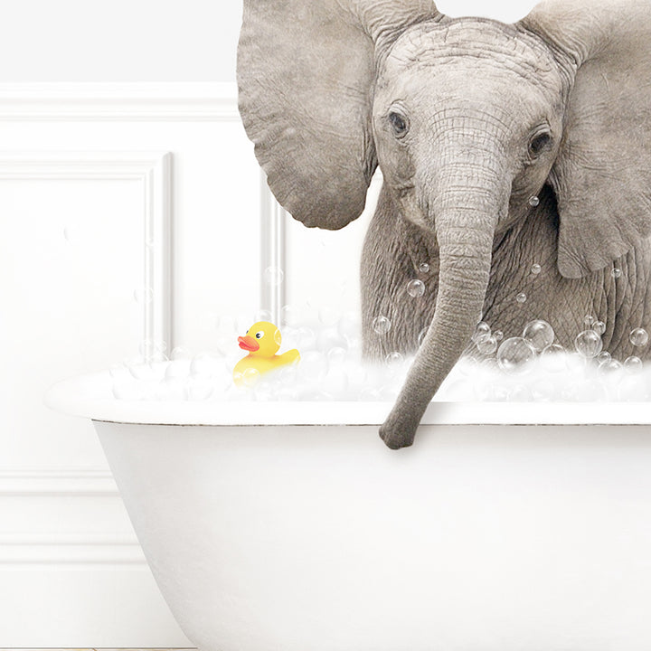 an elephant in a bathtub with a rubber duck