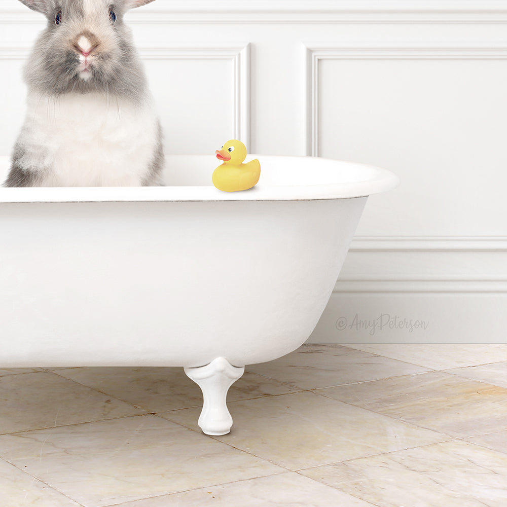 A gray and white rabbit sits in a white bathtub, with a yellow rubber duck floating on the water.