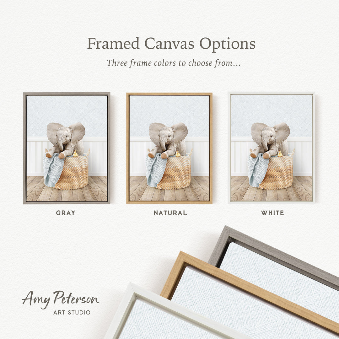 The image is a framed canvas option showcasing three different frame colors: gray, natural, and white. The canvas features a baby elephant sitting in a basket, and the frame color options are displayed below the canvas.