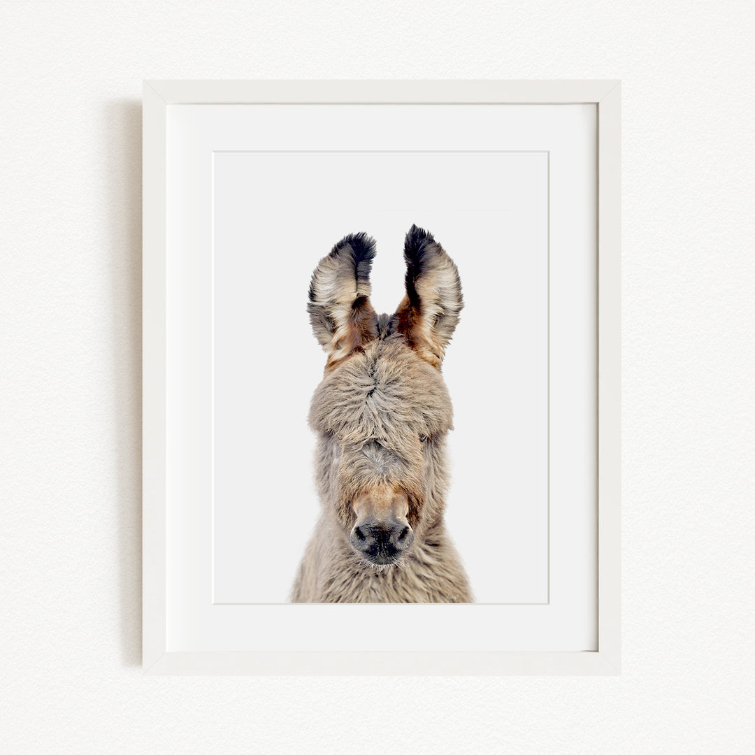 A close-up portrait of a donkey with its head and ears prominently featured in a white frame.