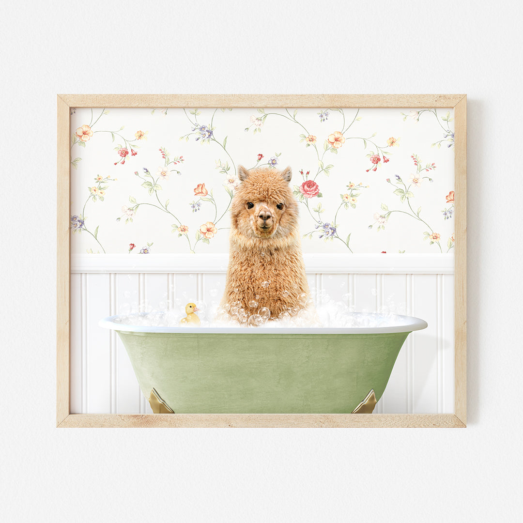 a brown dog sitting in a green bath tub