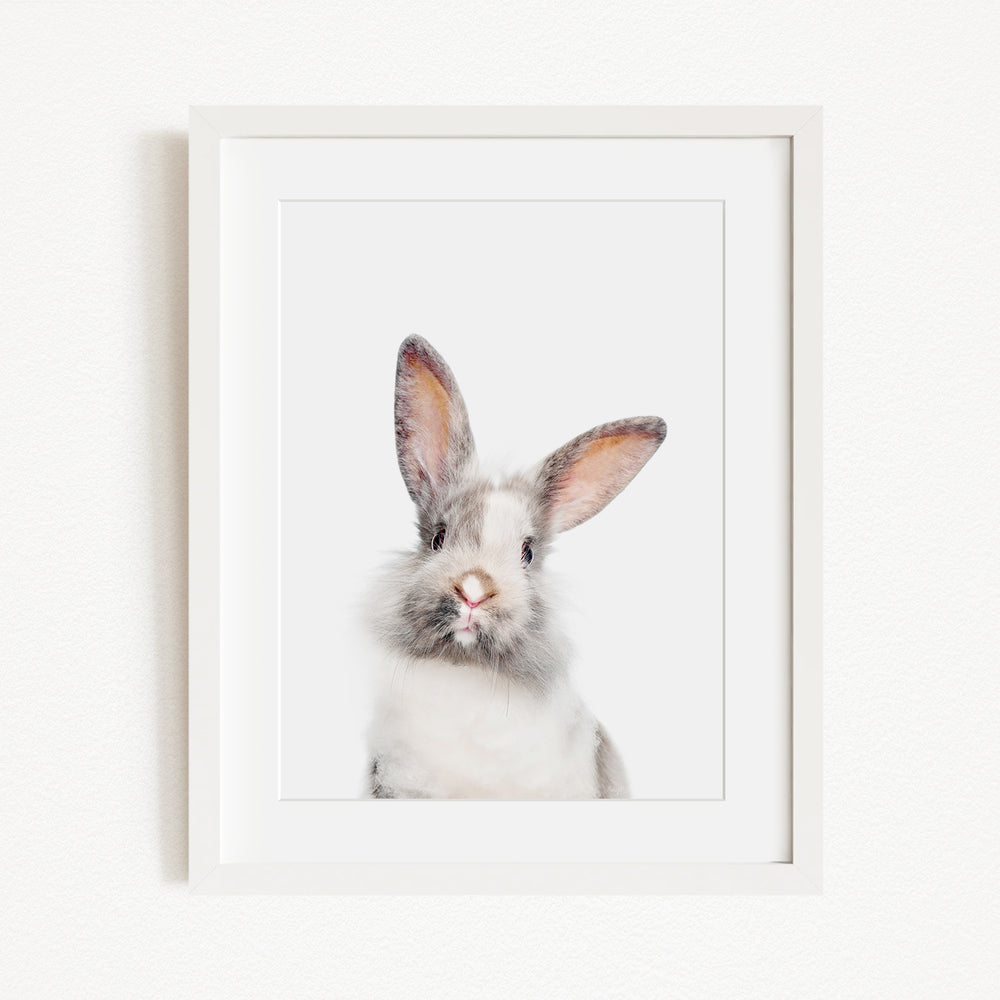 A white rabbit with large ears and a white face is the main subject of the framed image.