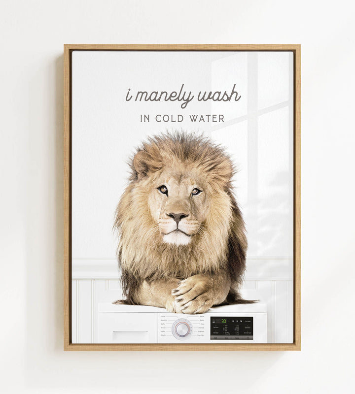 A framed image of a lion sitting on a washing machine, with the text "I merely wash in cold water" above it.