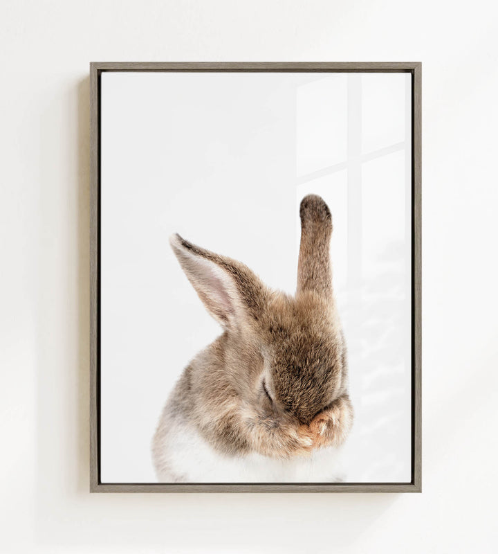 A cute, fluffy rabbit with its head resting on its paws, captured in a framed photograph.