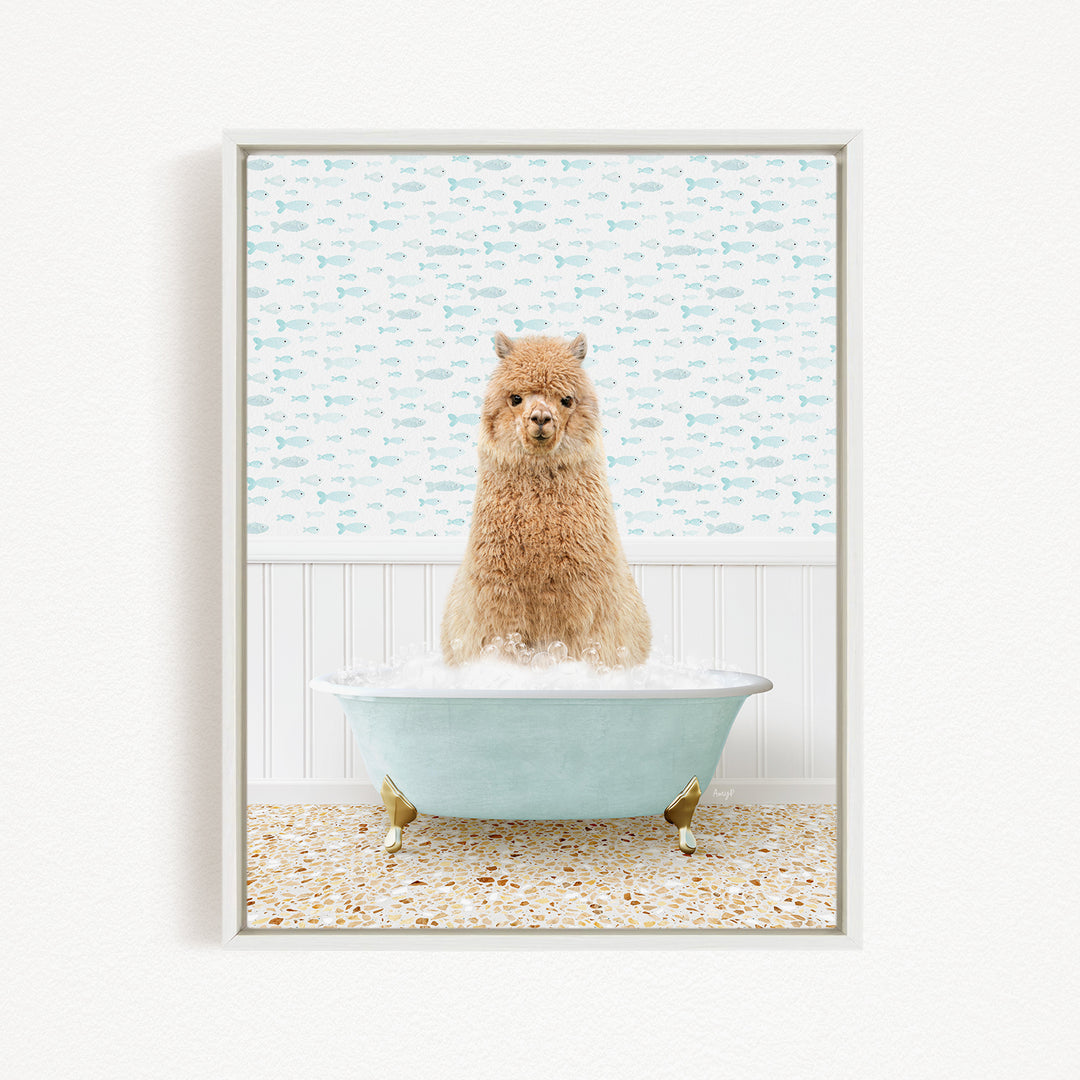 A fluffy brown dog sitting in a light blue bathtub filled with bubbles, with a patterned wall behind it.