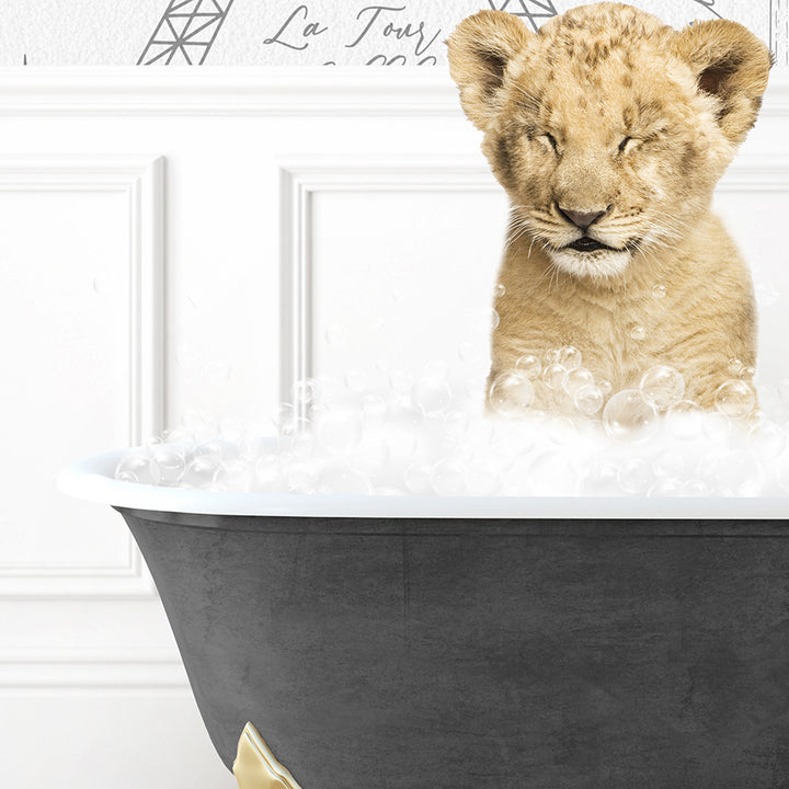 a lion cub sitting in a bathtub filled with bubbles