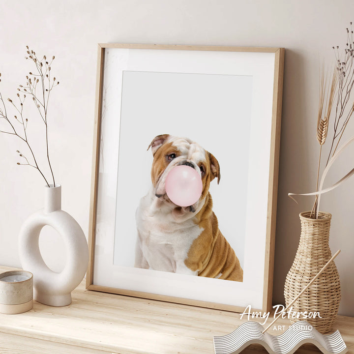 A framed photograph of a brown and white bulldog blowing a bubble gum bubble is displayed on a wooden shelf, accompanied by decorative vases and a woven basket.