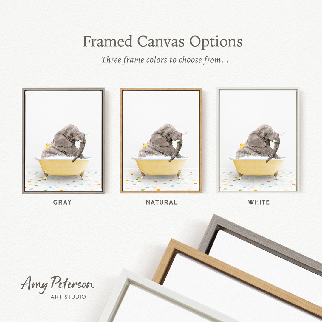The image is a framed canvas option featuring three different colored frames, each containing a photograph of an elephant sitting in a tub.