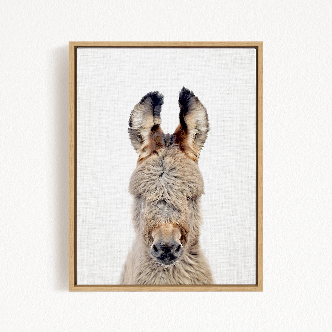 A close-up portrait of a donkey with its head turned to the camera, showcasing its distinctive features such as its large ears and nose.