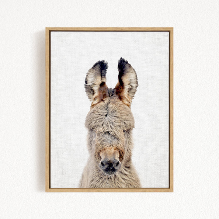 A close-up portrait of a donkey with its head turned to the camera, showcasing its distinctive features such as its large ears and nose.