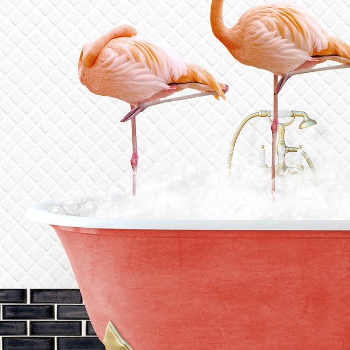 two flamingos standing on legs in a bathtub