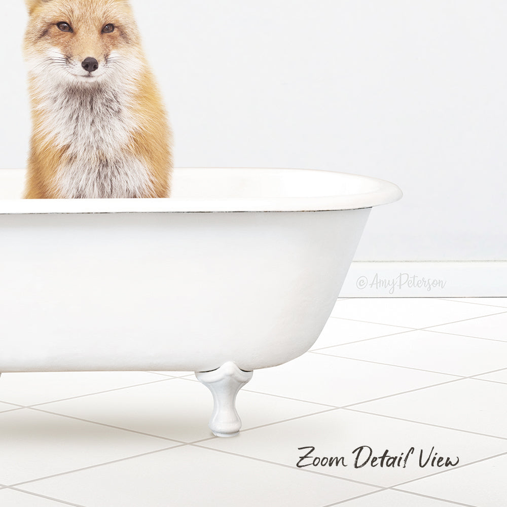 A fox sitting in a white bathtub, looking directly at the camera.