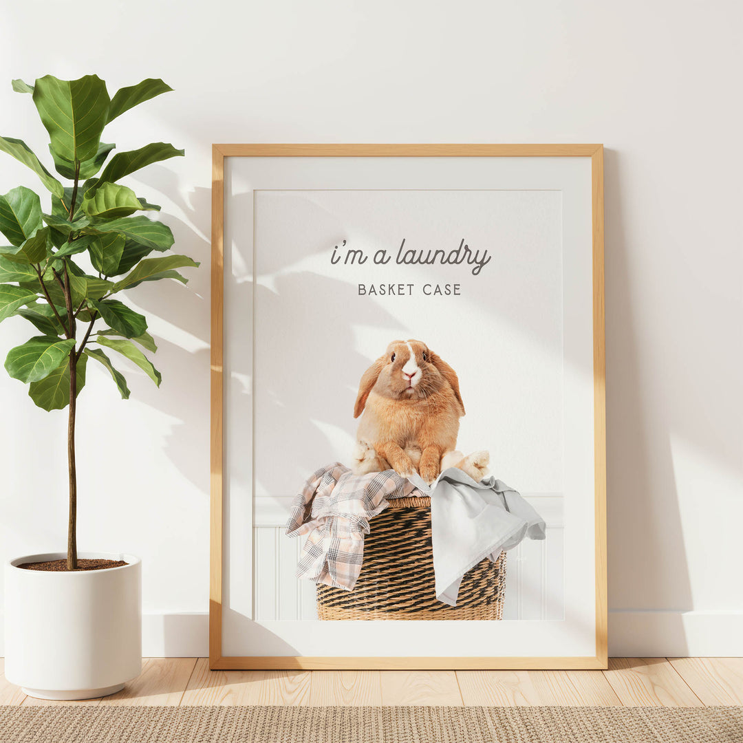 A framed photograph of a rabbit sitting in a basket filled with clothes, accompanied by the text "I'm a laundry Basket Case" in the top right corner.