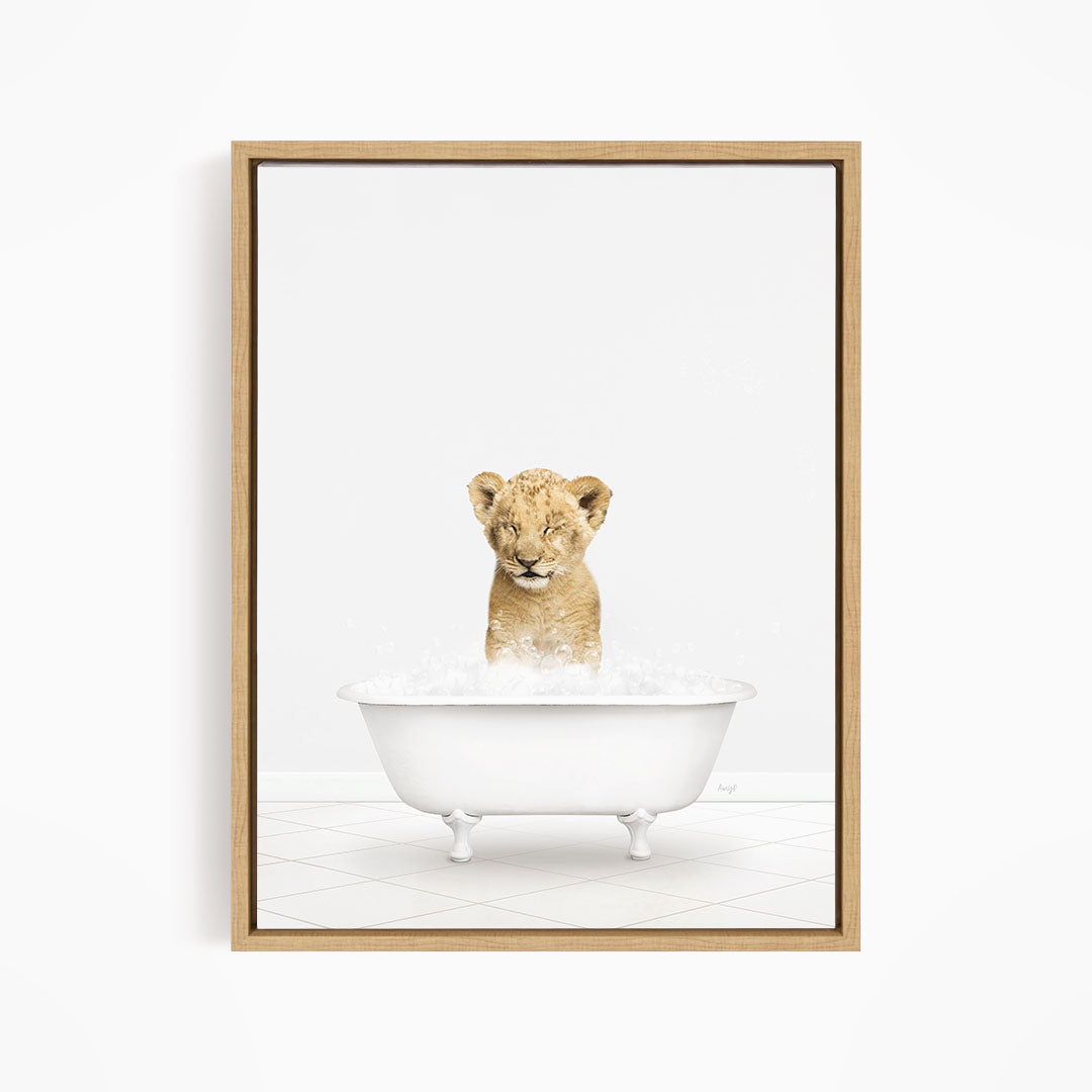 A young lion cub sitting in a white bathtub filled with water, looking up at the camera.