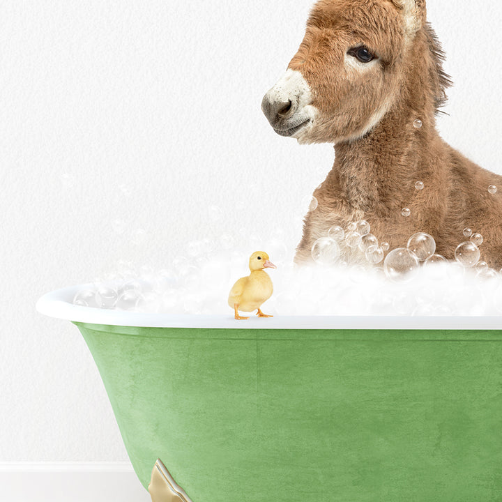 a donkey in a bathtub with bubbles and a rubber duck