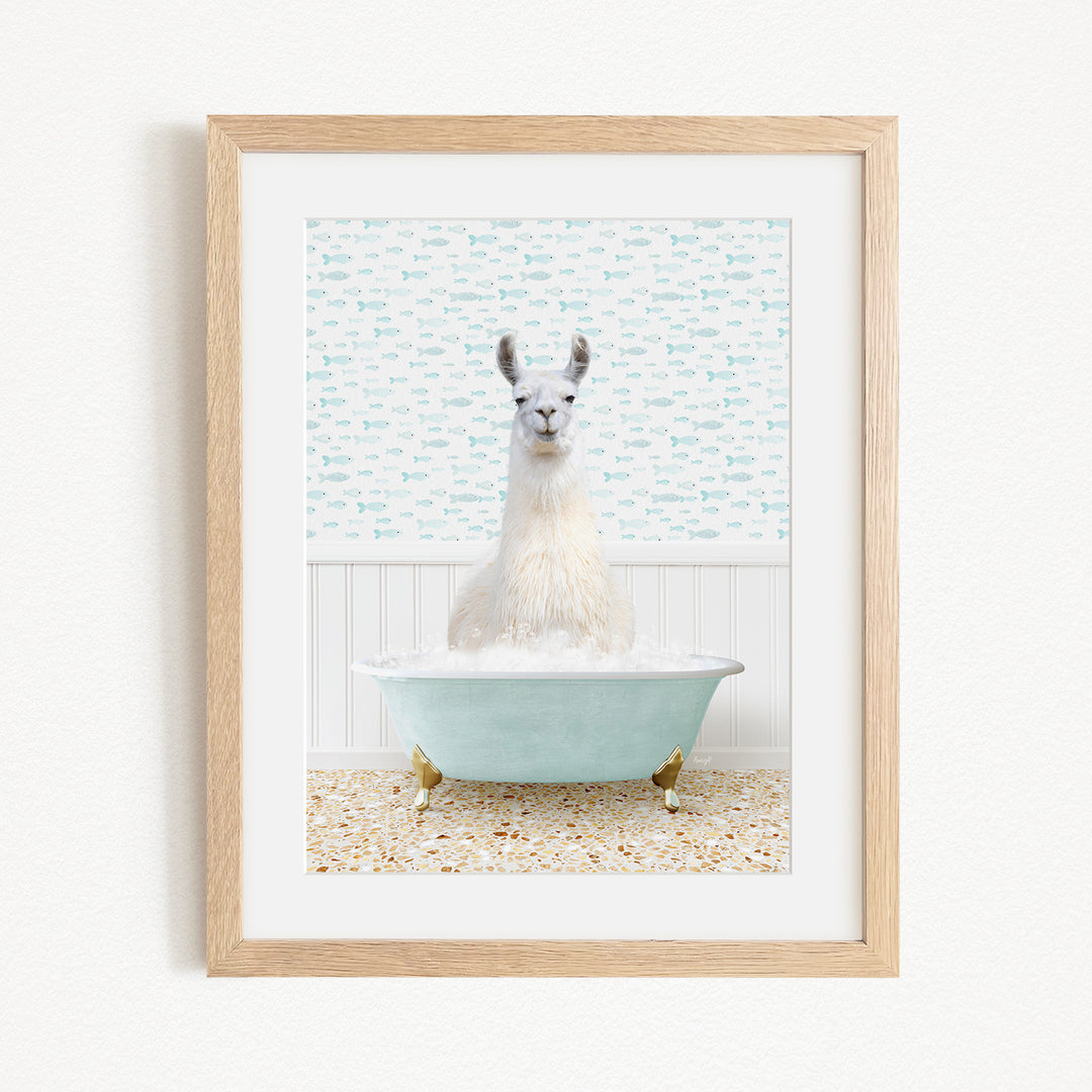 A white llama sitting in a blue bathtub filled with bubbles, with a patterned wall behind it.
