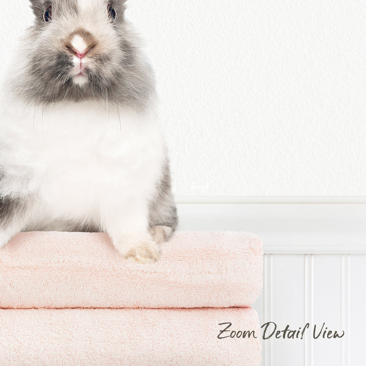 A fluffy gray and white rabbit sits on a pink towel, looking directly at the camera.