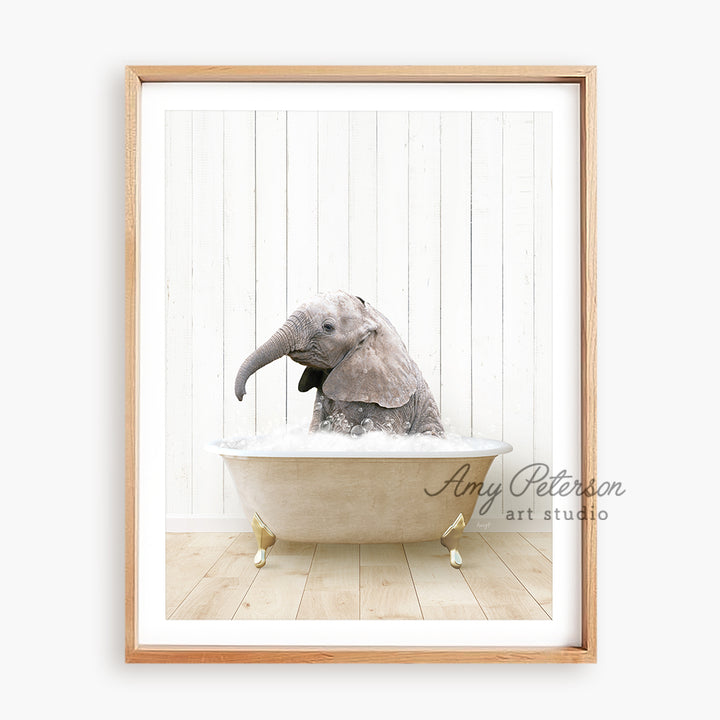 a framed photograph of an elephant in a bathtub