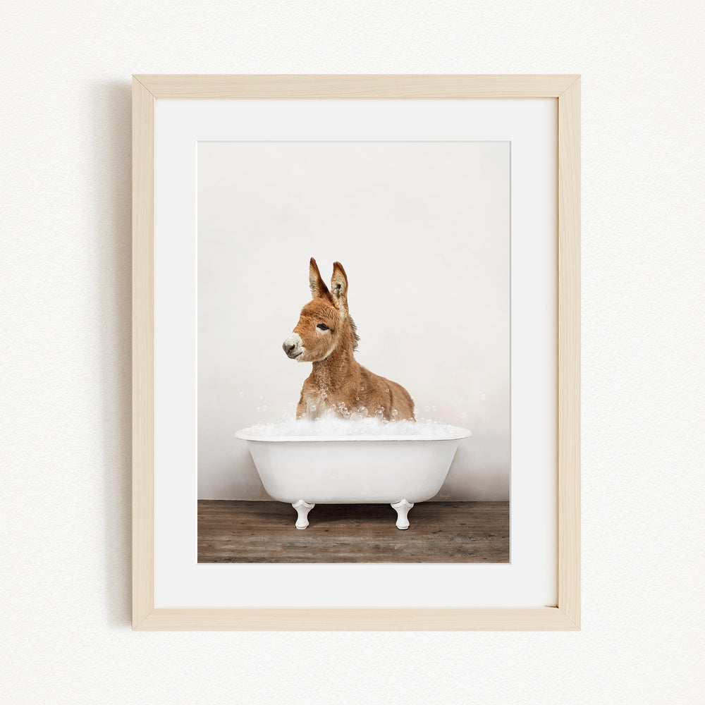 A donkey is sitting in a white bathtub filled with bubbles, creating a playful and whimsical scene.