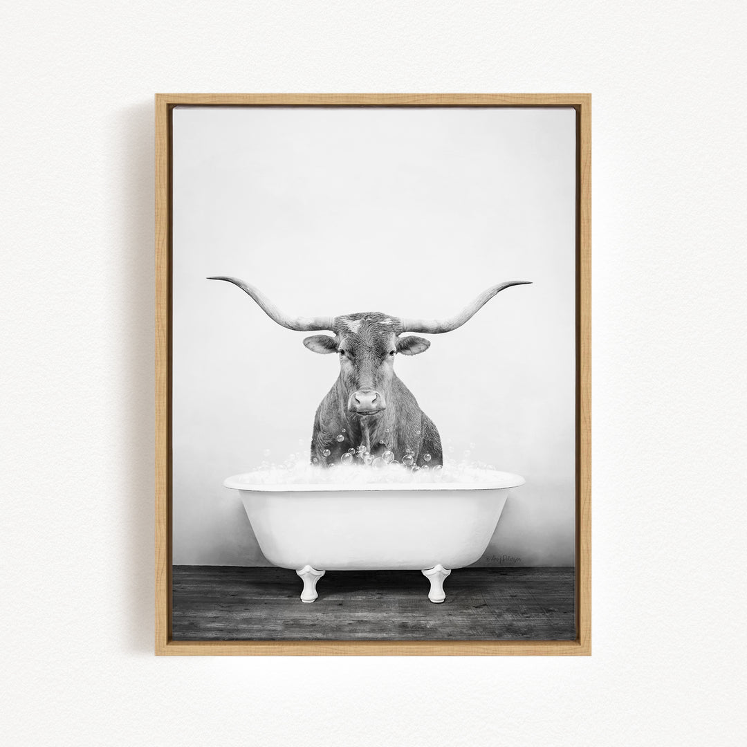 A black and white photograph of a horned animal, possibly a bull or steer, sitting in a white bathtub filled with water.