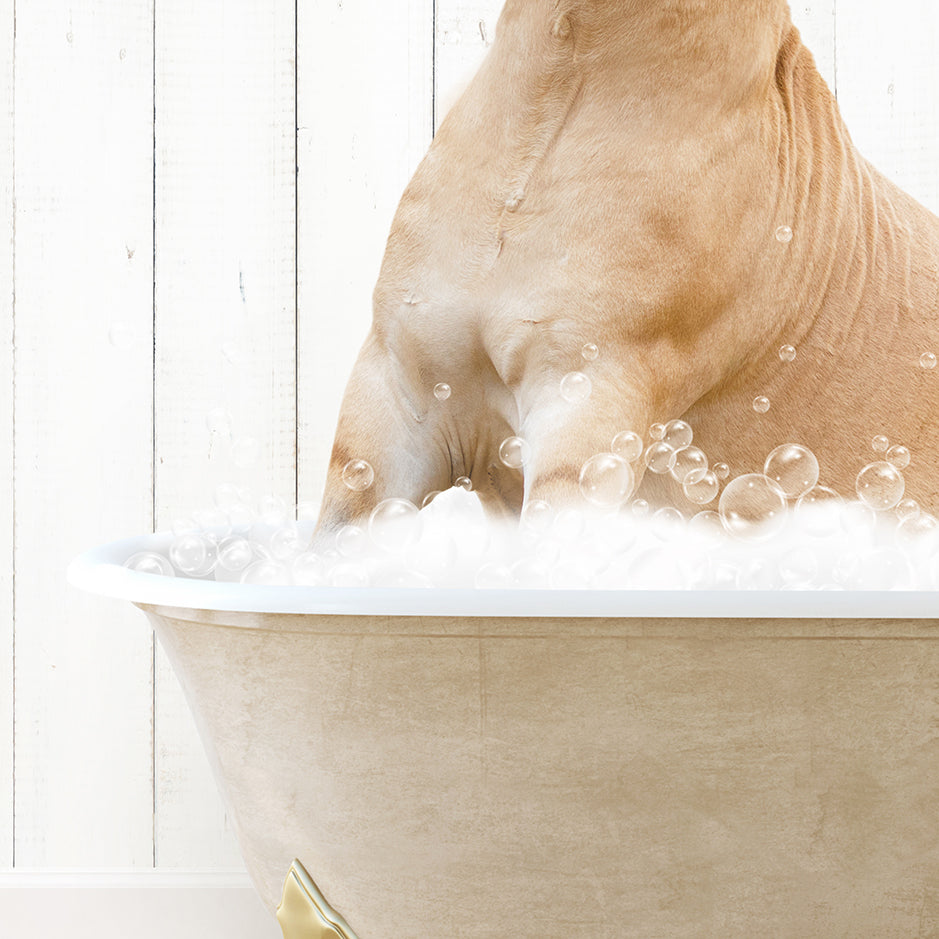 a dog is taking a bath in a bathtub