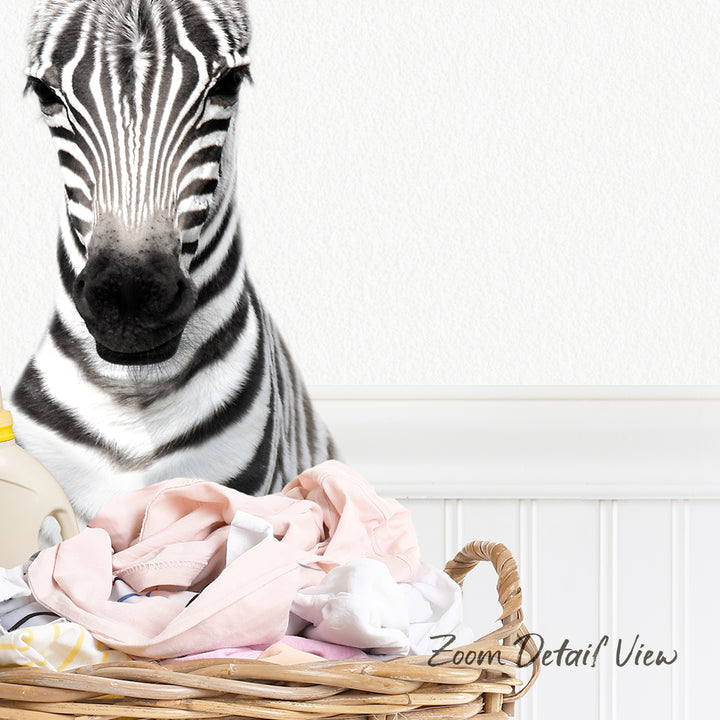 A zebra is sitting in a basket filled with laundry, looking directly at the camera.