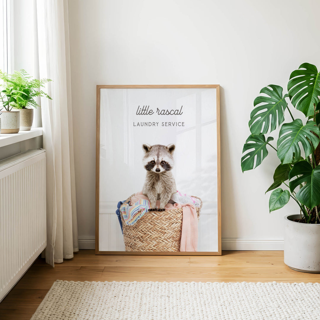 A framed poster of a raccoon sitting in a laundry basket, with the text "little raccal Laundry Service" on it.