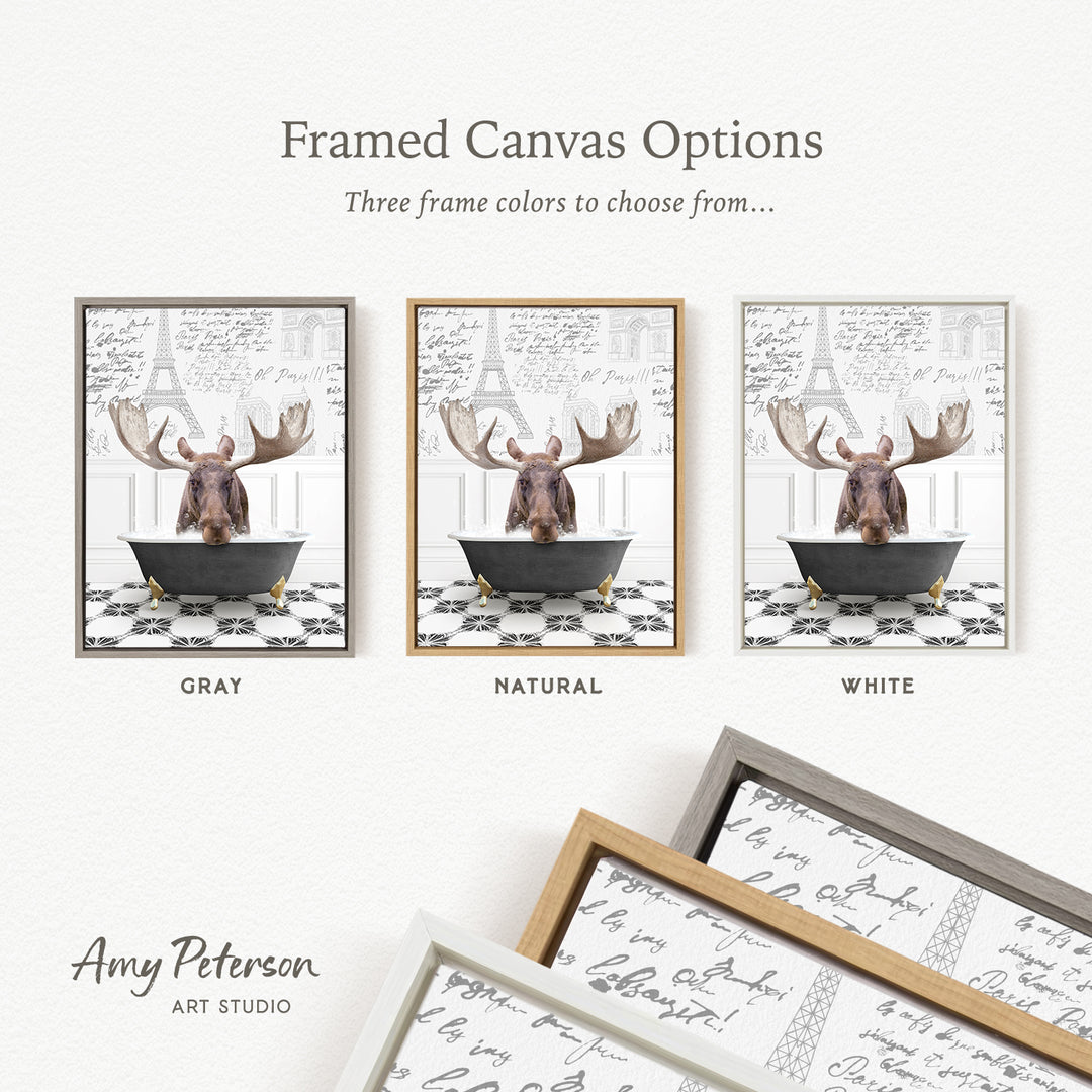 The image is a framed canvas option featuring three different colored frames with a moose image in each frame. The frames are labeled as "Grays," "Natural," and "White" to indicate the color of the frame.