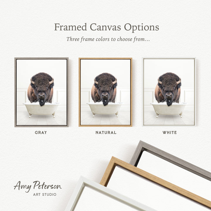 three framed canvas options, each featuring a photograph of a bison in a bathtub. The options include a gray frame, a natural frame, and a white frame.