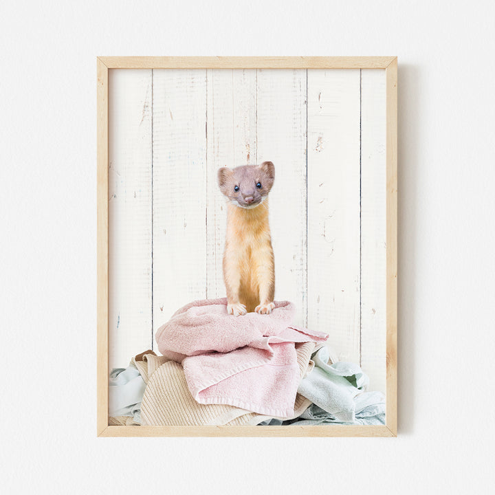 a picture of a small animal in a frame